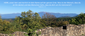 Mehr über den Artikel erfahren Reise 2021
